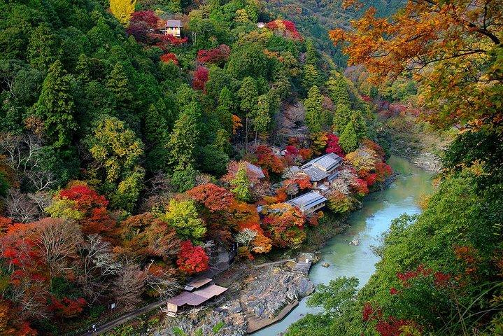 [Privé] Kyoto Tour sur mesure (Guide + Transport privé)