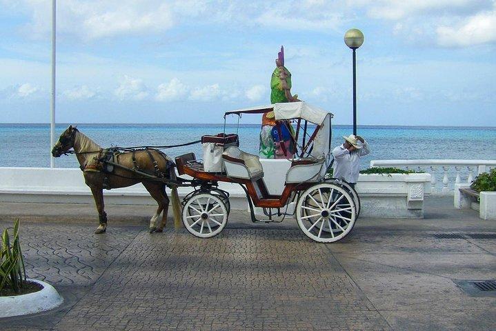 Aventura de Cozumel