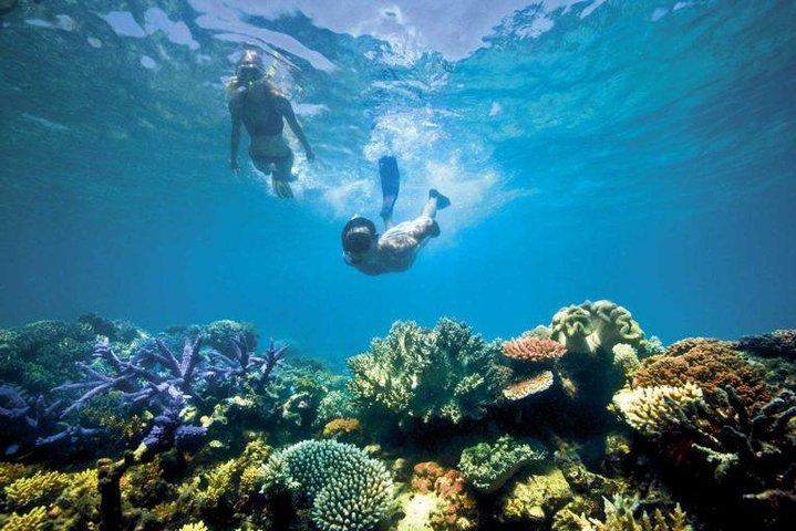 Aventura de Cozumel