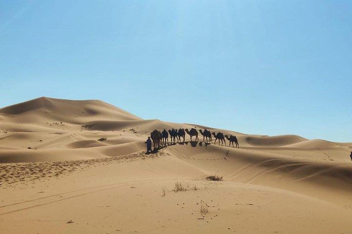 Privé 2-daagse trip van Errachidia naar Fes via Merzouga woestijn