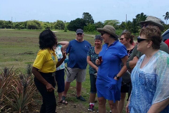 Visite culturelle et historique de la maison dans The Antiguan Experience