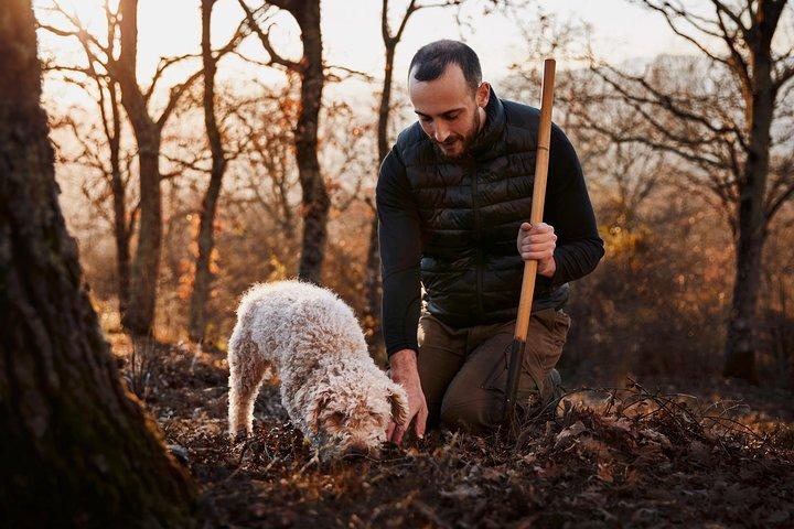 Caça às trufas perto de Roma com um almoço de 7 pratos