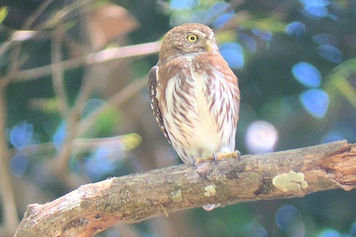 Carara National Park Tour