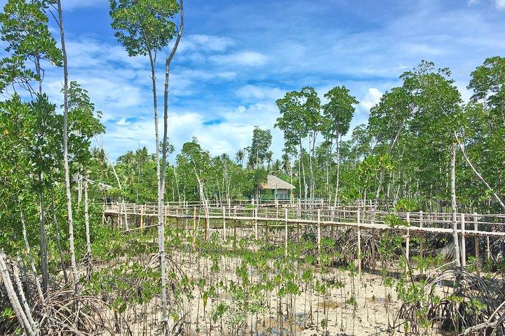 Pacote Fuga da Ilha de Bantayan | 3D / 2N