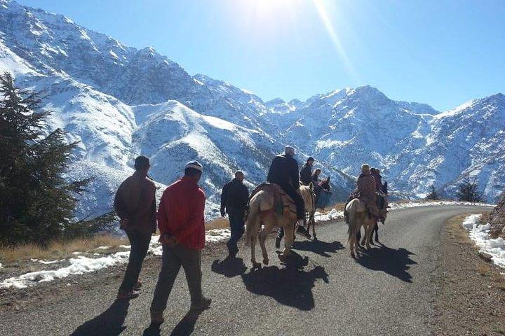 Montagne dell'Atlante e 3 valli e cascate - Camel Ride Marrakech