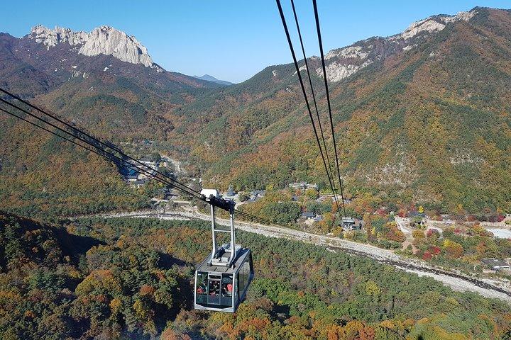 [Premium Private Tour] Mt. Seorak & Ostsee oder Nami Insel von Seoul