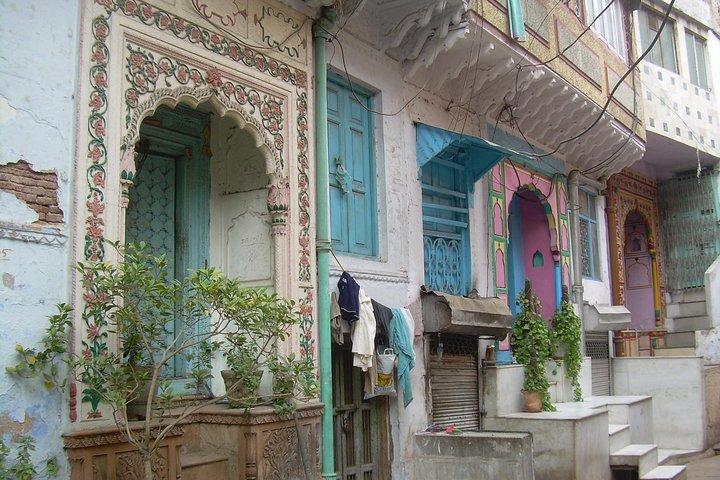 Vegan Food and walking tour in Delhi