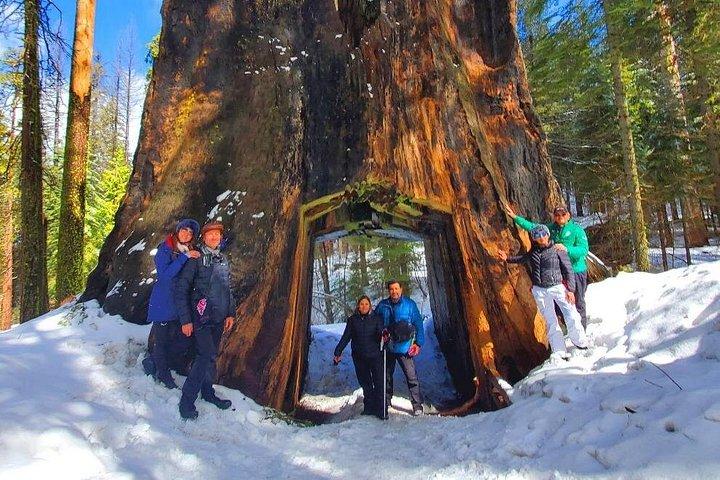 ヨセミテ国立公園2日コースツアーパッケージホテル込み