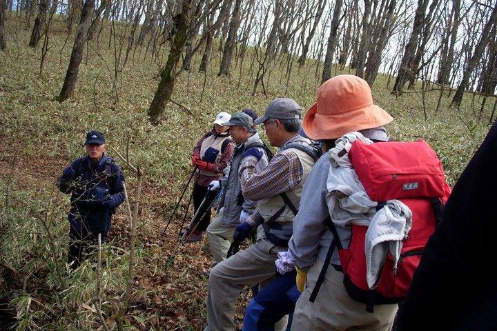 Détendez-vous et rafraîchissez-vous dans la forêt de Karuizawa! Shinanoji vers le bas en randonnée autour de deux personnes
