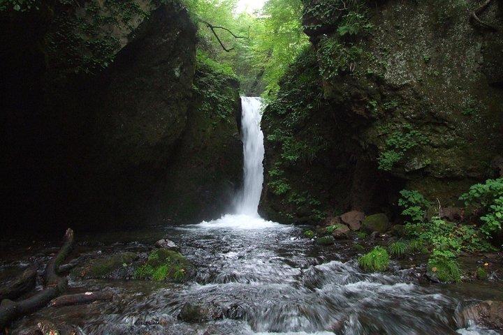 Détendez-vous et rafraîchissez-vous dans la forêt de Karuizawa! Shinanoji vers le bas en randonnée autour de deux personnes