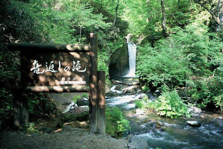 Détendez-vous et rafraîchissez-vous dans la forêt de Karuizawa! Shinanoji vers le bas en randonnée autour de deux personnes