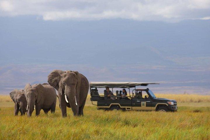 2 - Dia Amboseli & Mt Kilimanjaro Voar em Safari de Diani Beach