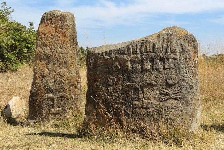 ユネスコ世界遺産ティヤとメルカ・クントゥレへの日帰り旅行