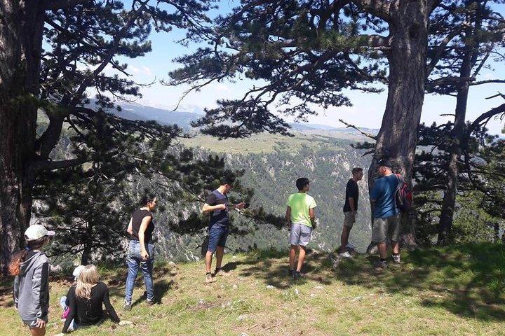 Excursion en jeep dans le parc national Durmitor