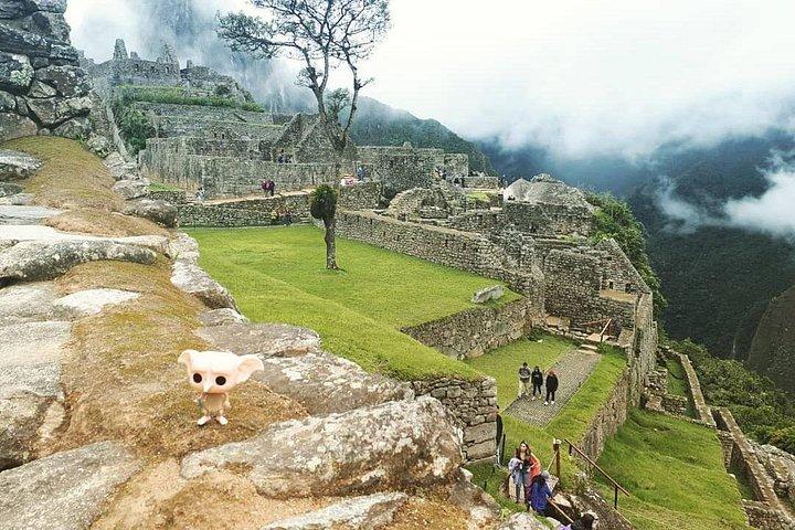 Machu Picchu Tour an einem Tag