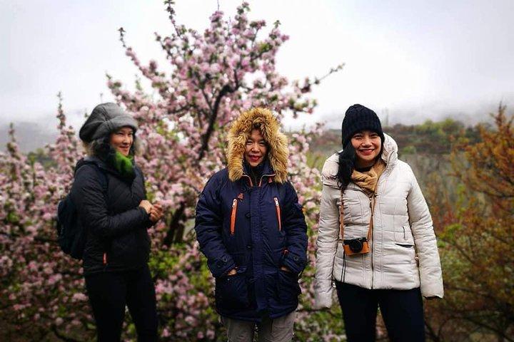 Kersenbloesems Trip naar noordelijke gebieden van Pakistan