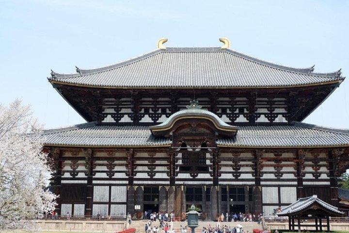 Nara privétour per openbaar vervoer vanuit Osaka