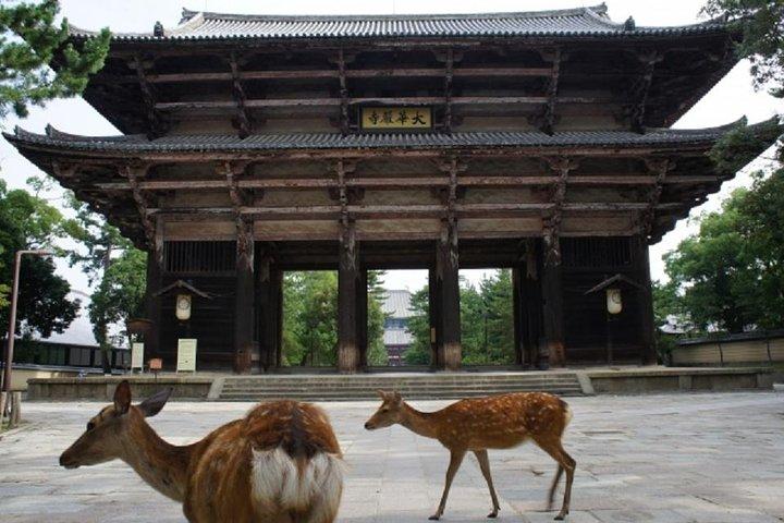Nara Private Tour de transporte público de Osaka
