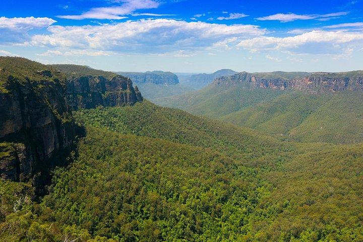 Excursion privée de luxe : Excursion d'une journée dans les Blue Mountains au départ de Sydney