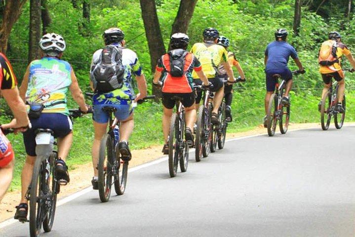Pedalerudflugt gennem den sydlige kystlinje i Tangalle