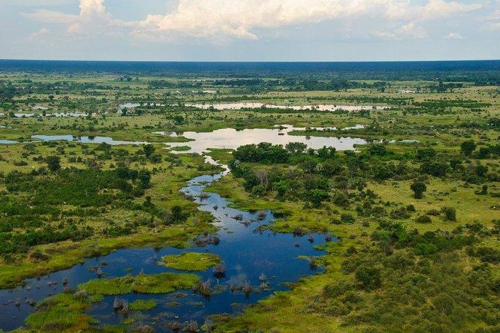 ビクトリアフォールズ、チョベ、オカバンゴデルタ7泊旅行