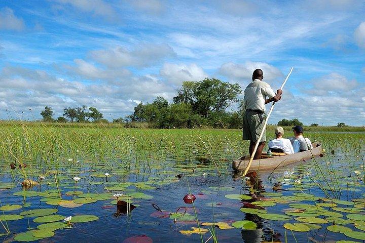 ビクトリアフォールズ、チョベ、オカバンゴデルタ7泊旅行