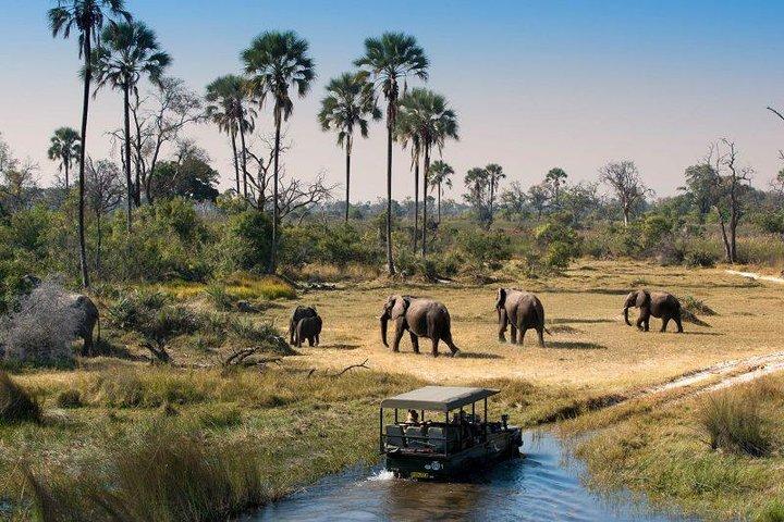 ビクトリアフォールズ、チョベ、オカバンゴデルタ7泊旅行
