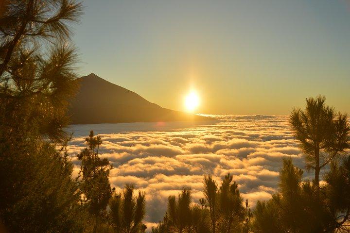 TOUR PRIVADO Parque Nacional do Teide: caminhadas e observação de estrelas