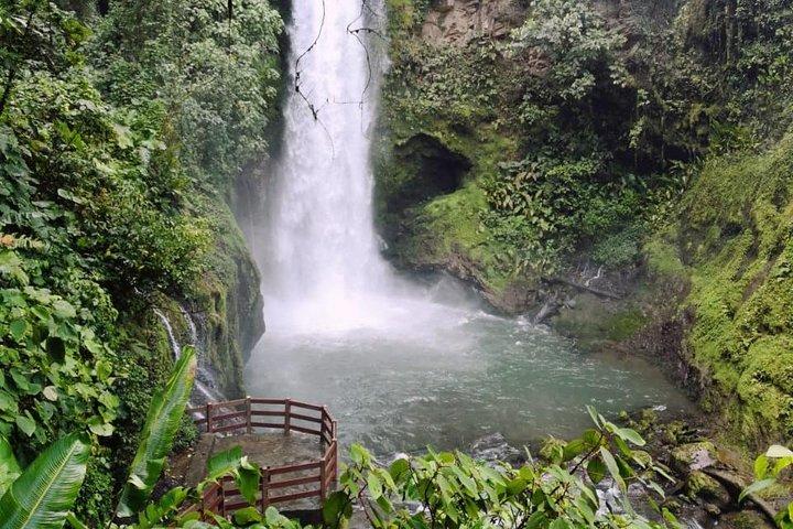 Ganztägiger Vulkan Poas, Kaffeetour und La Paz Wasserfälle ab San Jose