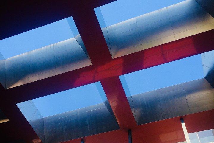 Visita privada del Museo Reina Sofía: entradas y guía privado