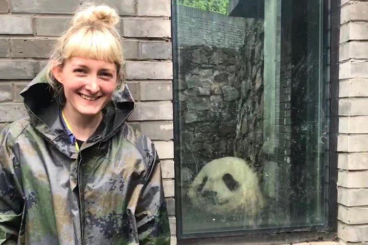 Dujiangyan Panda Volunteering Upplevelse med lunch