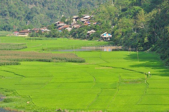 3-Day Ba Be Lake - Ban Gioc Waterfall Private Tour
