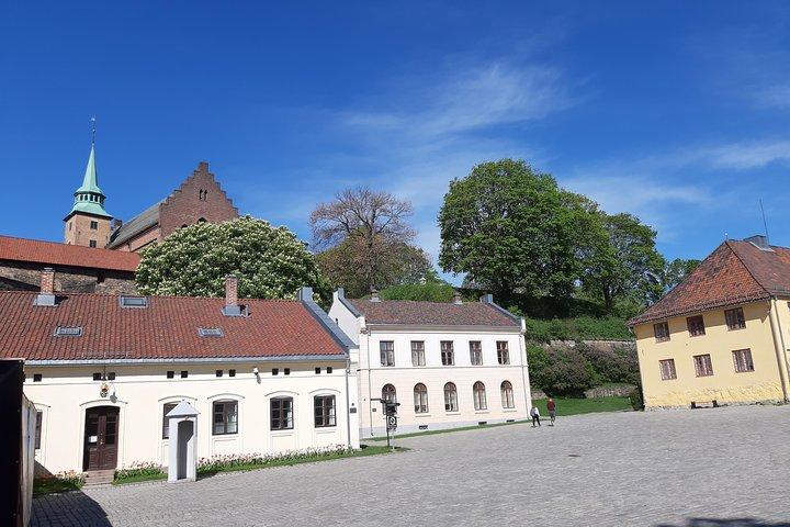 Kunst- en museumrondleiding door Oslo