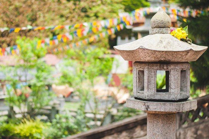 Perfume Pagoda 1 Dia Tour