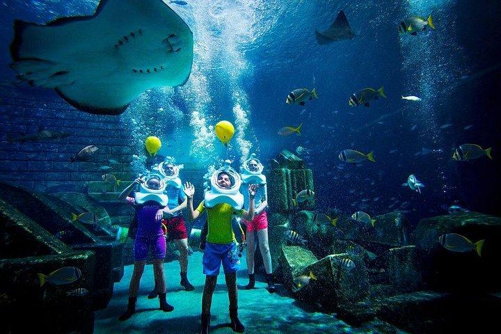 半日ドバイ市内観光とドバイ水族館水中動物園訪問