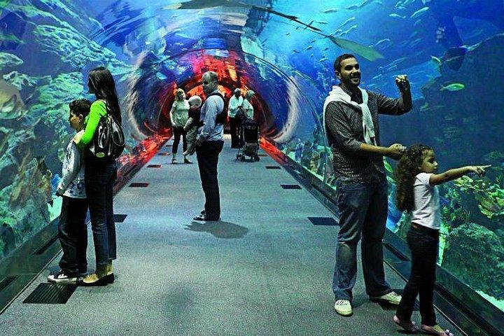 半日ドバイ市内観光とドバイ水族館水中動物園訪問