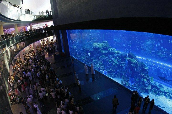 半日ドバイ市内観光とドバイ水族館水中動物園訪問