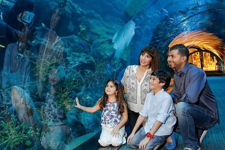 Excursion d'une demi-journée à Dubaï et visite du zoo sous-marin de l'aquarium de Dubaï
