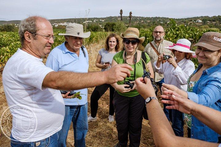 Rundtur och vinprovning-Autentiska Sabores Algarvios, Quinta da Tôr