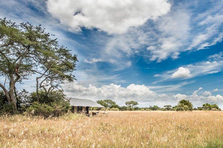 5 Dagen Serengeti Migratiesafari
