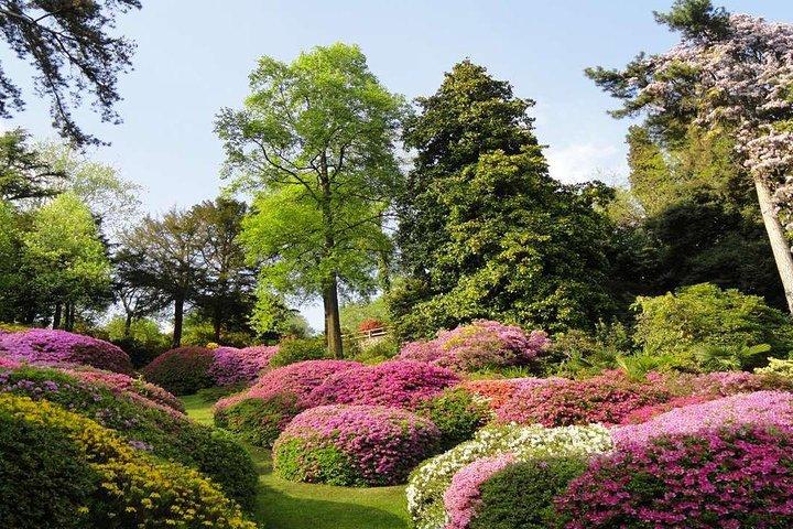 Lake Como, Villa Carlotta, Bellagio - Full day