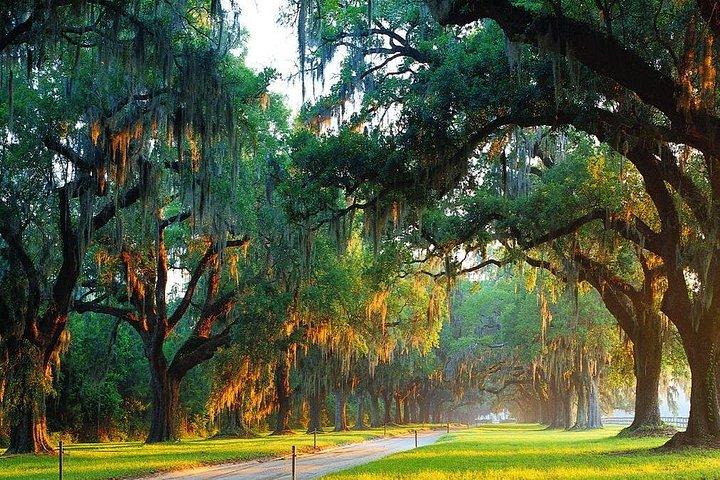 Adgangskort til adgang til Boone Hall Plantation