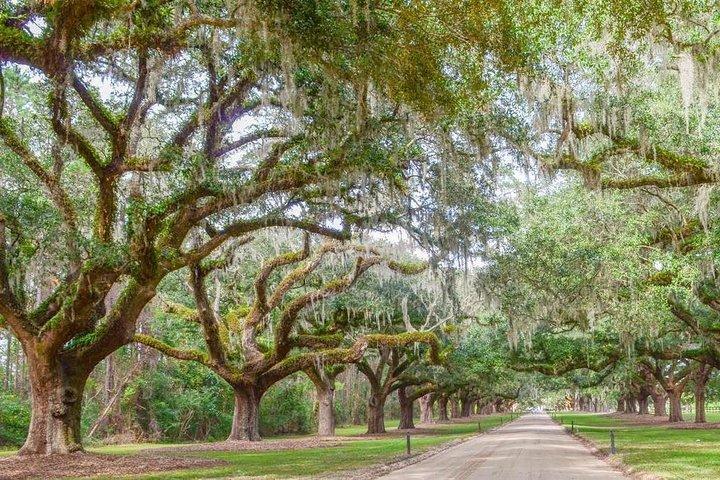 Boone Hall Plantation All-Access Admission Ticket