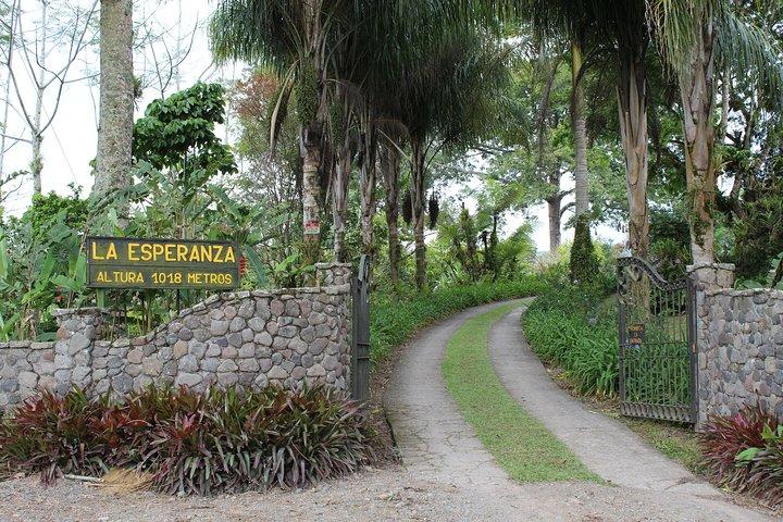Complete Lunch in our house Hacienda La Esperanza
