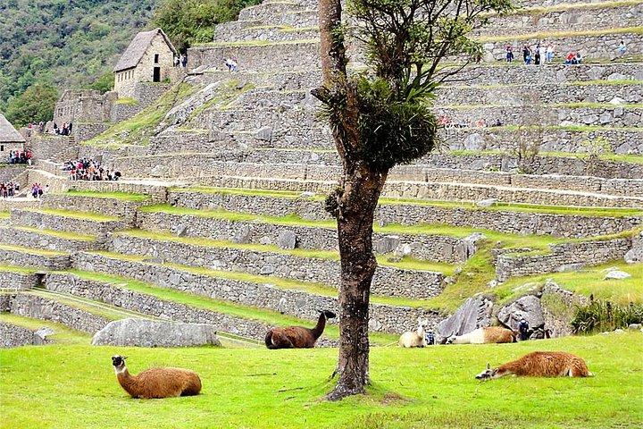 3-Day Huchuy Qosqo Trek al servizio privato di Machu Picchu