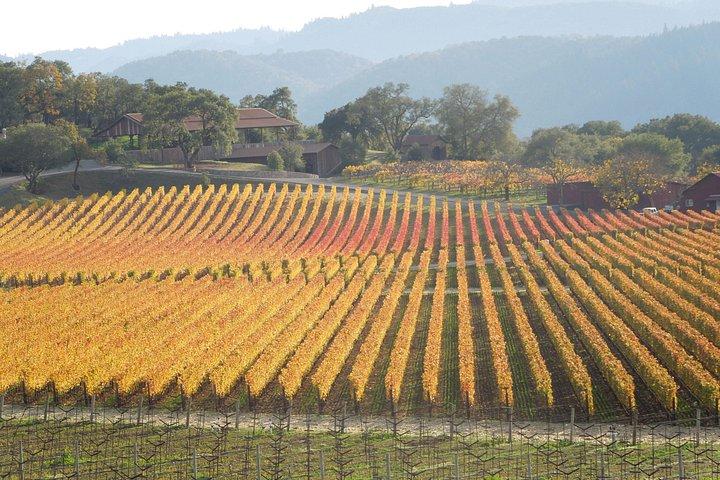 Napa Valley Wine Train Tour Glamorous Dining Experience
