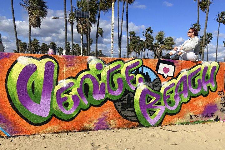 Kleingruppen-E-Bike-Tour durch Santa Monica und Venice Beach
