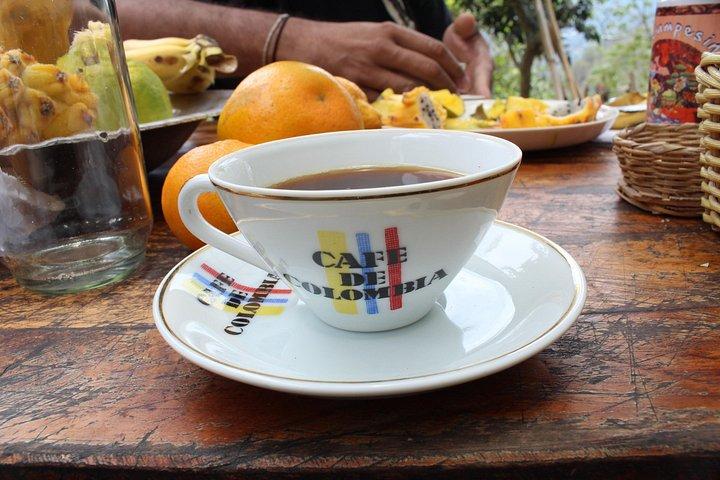 ボゴタ発コーヒー農園ツアー - 一日農業者になろう