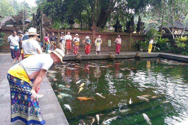 Tour della luna di miele di Bali