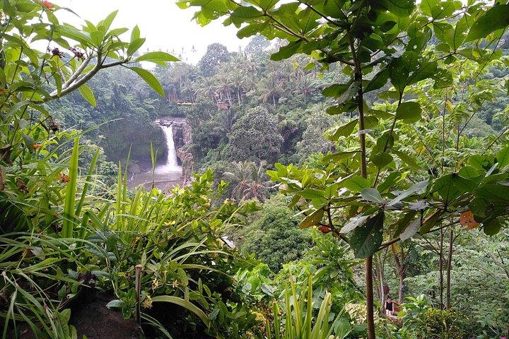 Tour della luna di miele di Bali